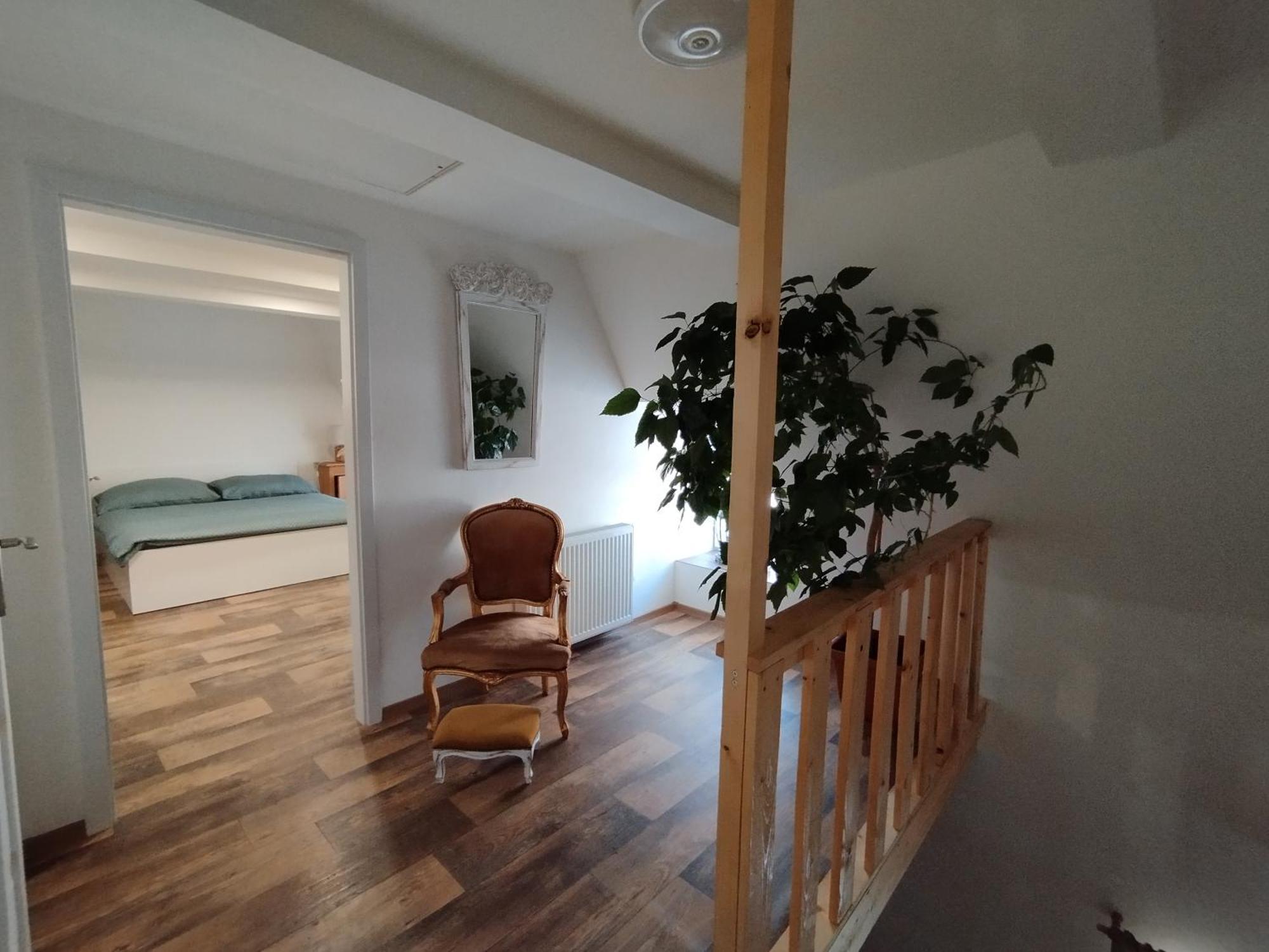 U Markety * Jiretin pod Jedlovou